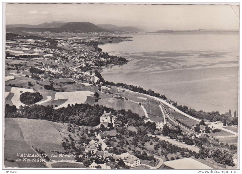 SUISSE,HELVETIA,SWISS,SWITZERLAND,SCHWEIZ,BOUDRY ,NEUCHATEL,VAUMARCUS,parc De La Rochelle,nature - Boudry