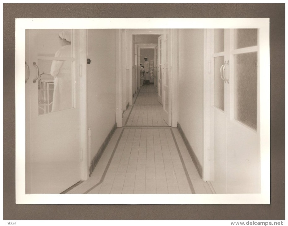 Groot fotoalbum (25 x 30 x 4 cm) Laboratoires Wolfs Antwerpen Zwijndrecht (58 foto's !!!)