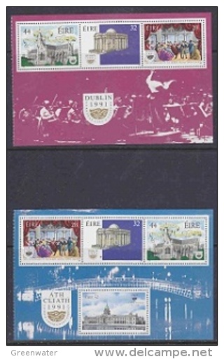 Ireland 1991 Dublin European City Of Culture2  Booklet Panes ** Mnh (22689) - Booklets