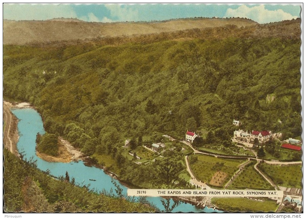 THE RAPIDS AND ISLAND FROM YAT ROCK - SYMONDS YAT - Herefordshire