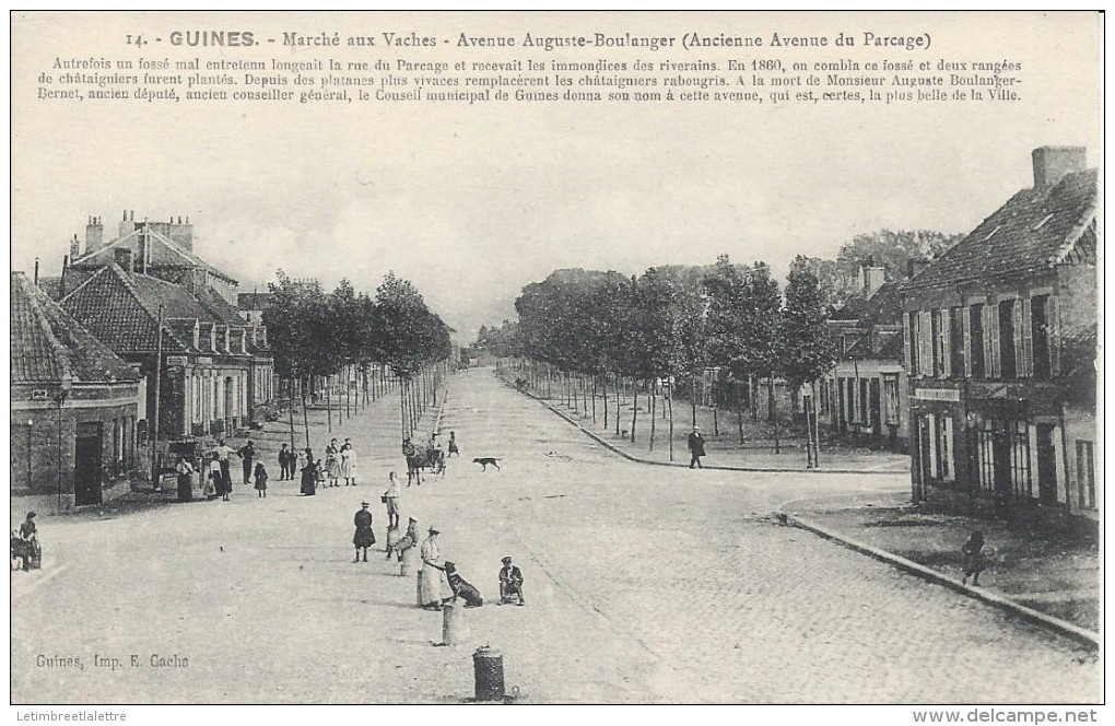 CPA, Marché Aux Vaches, Avenue Auguste Boulanger  ( Ancienne Avenue Du Parcage ) - Guines