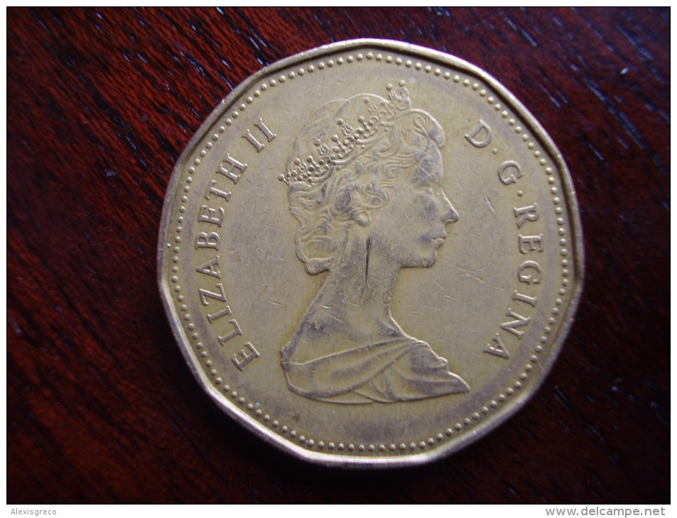 CANADA 1989 ONE DOLLAR Aureate-bronze Plated Nickel USED. - Canada