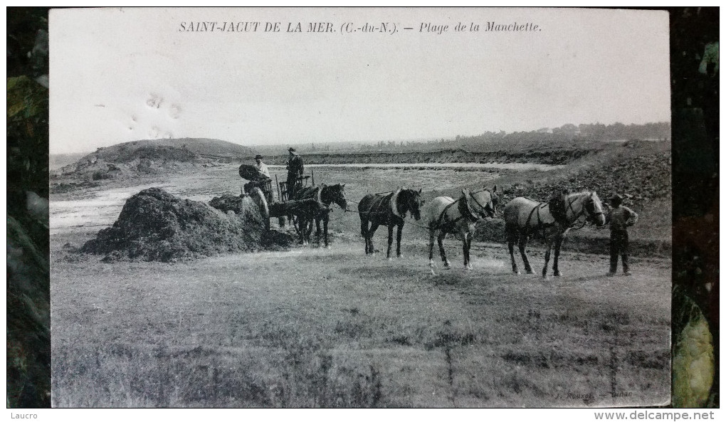 Saint-jacut-de-la-mer.recolte Du Goemon,attelage De Chevaux. - Saint-Jacut-de-la-Mer