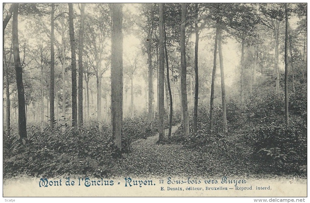 Ruyen.  -  Mont De L´Enclus - Kluisbergen