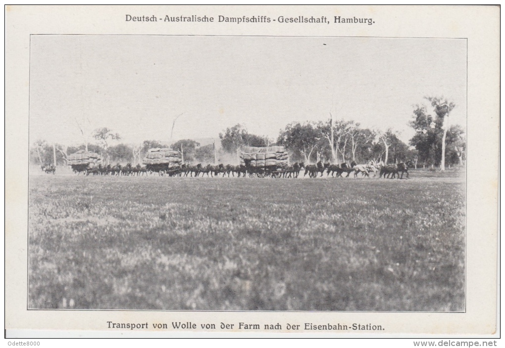 Deutsch-Australische Dampfschiffs Gesellschaft Hamburg  Transport Von Wolle Koetsen   Nr 3003 - Andere & Zonder Classificatie