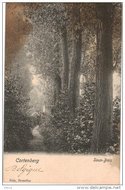 Carte Postale Ancienne De CORTENBERG - SOUS BOIS - Kortenberg