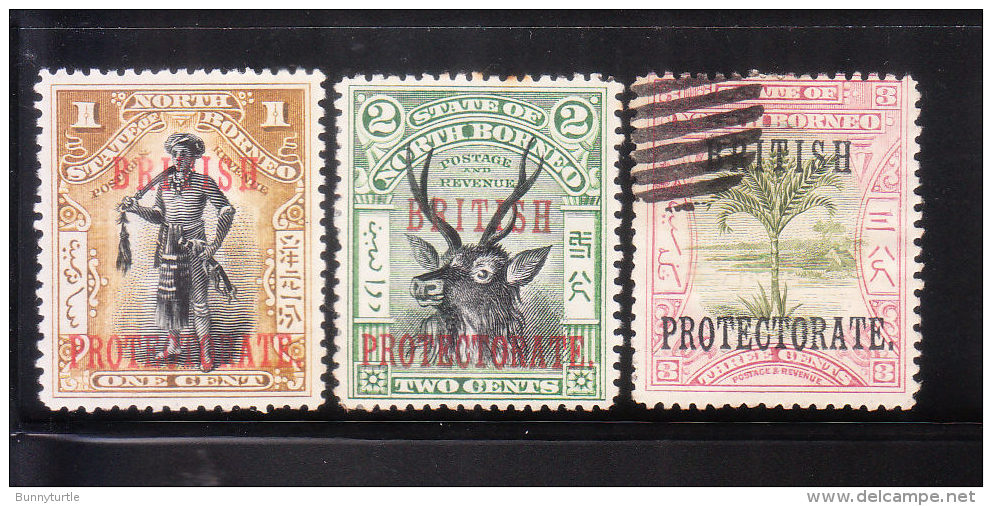 North Borneo 1901-05 Overprinted British Protectorate Mint/used - Bornéo Du Nord (...-1963)