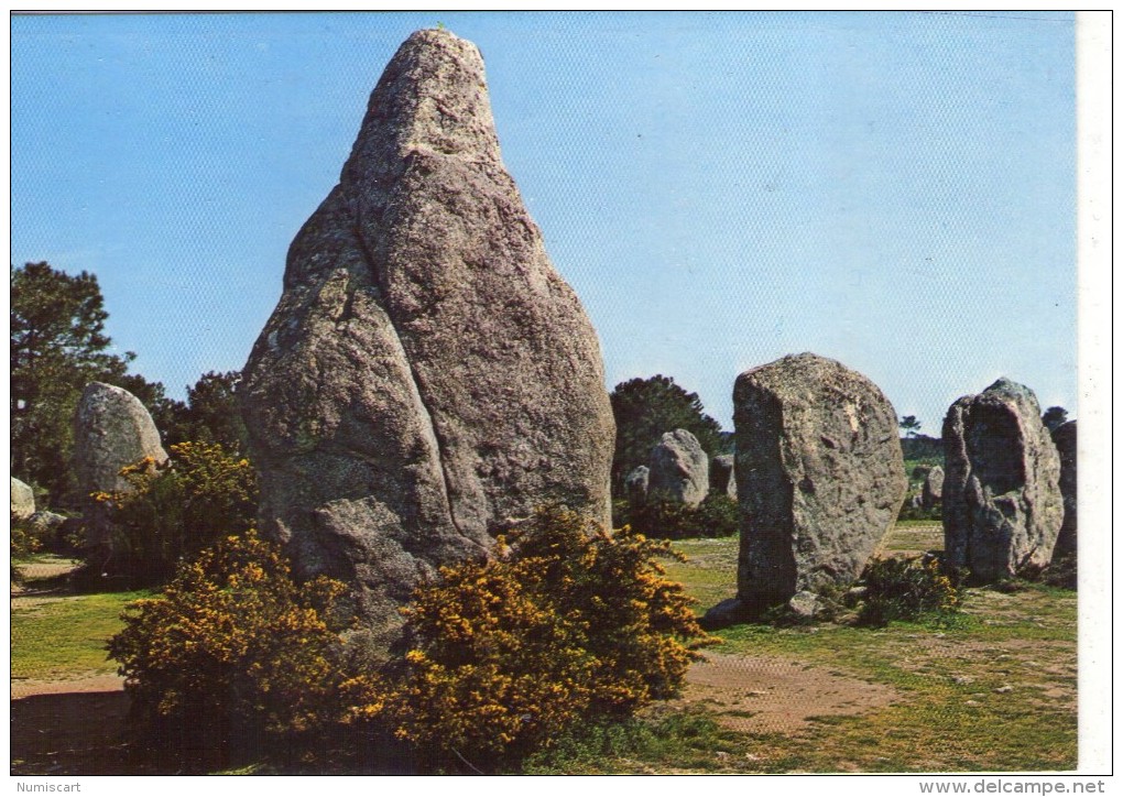 Dolmen Dolmens..Menhirs..Mégalithes Pierres Rochers Carnac Les Menhirs De Kermario - Dolmen & Menhirs