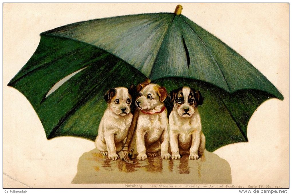 [DC4667] CARTOLINA - ILLUSTRATA - CANI - TRE CUCCIOLI SOTTO L'OMPRELLO - Non Viaggiata - Old Postcard - Honden