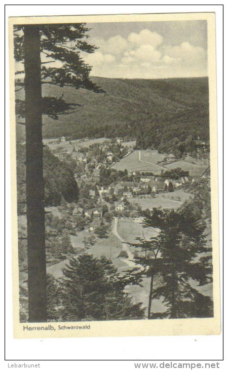 Carte Postale Ancienne "Herrenalb. Schwarzwald." - Bad Herrenalb