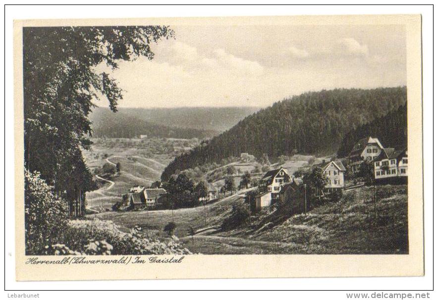 Carte Postale Ancienne "Herrenalb. Schwarzwald." Im Gaistal - Bad Herrenalb