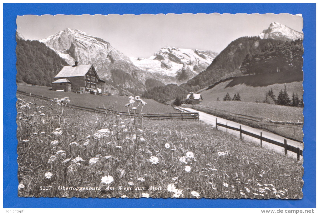 Schweiz; Obertoggenburg; Am Wege Zum Alpli; Wildhaus-Alt St. Johann Und Nesslau; Stempel Wildhaus - Nesslau