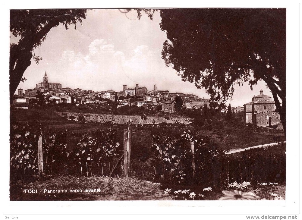 TODI Panorama Verso Levante Very Fine  Used  To Rome 12-07-1943 - Perugia