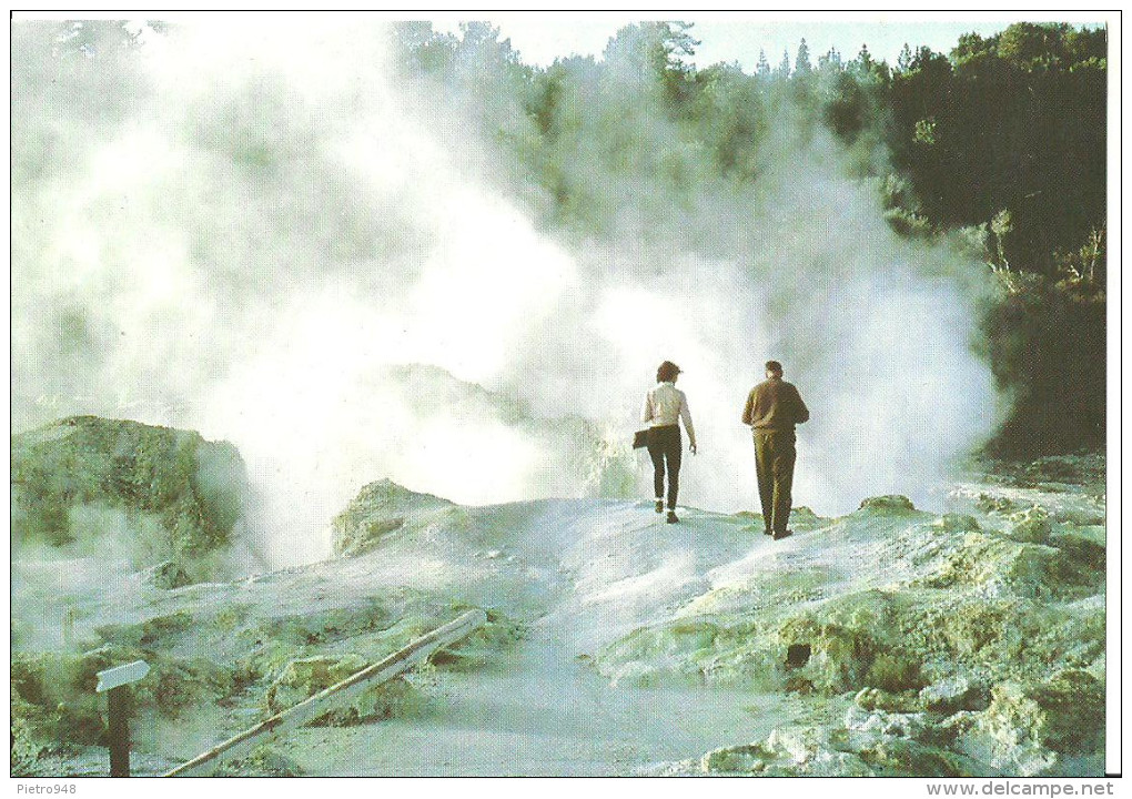 Rotorua, Hell's Gate (New Zealand, Nuova Zelanda) The "Hot Spot Of The Termal Area", "Devil's Acre" - Nuova Zelanda