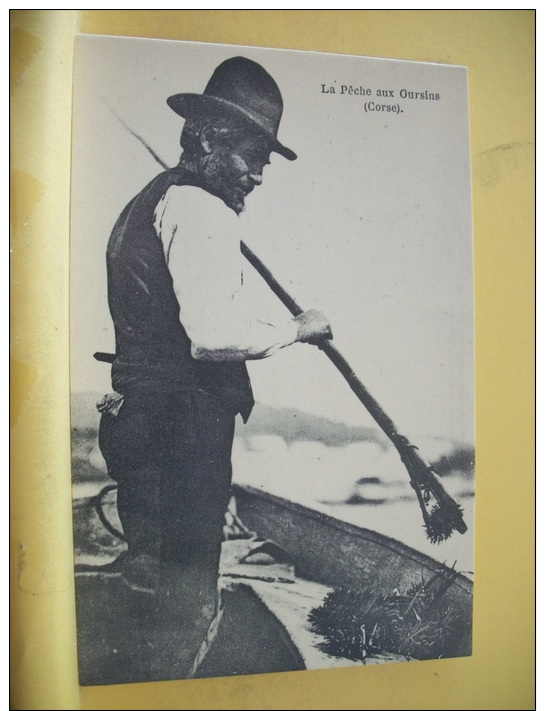 REPRO92 -CPM REPRODUCTION CECODI - LA PECHE AUX OURSINS (CORSE) - (SCANS RECTO VERSO) - Otros & Sin Clasificación