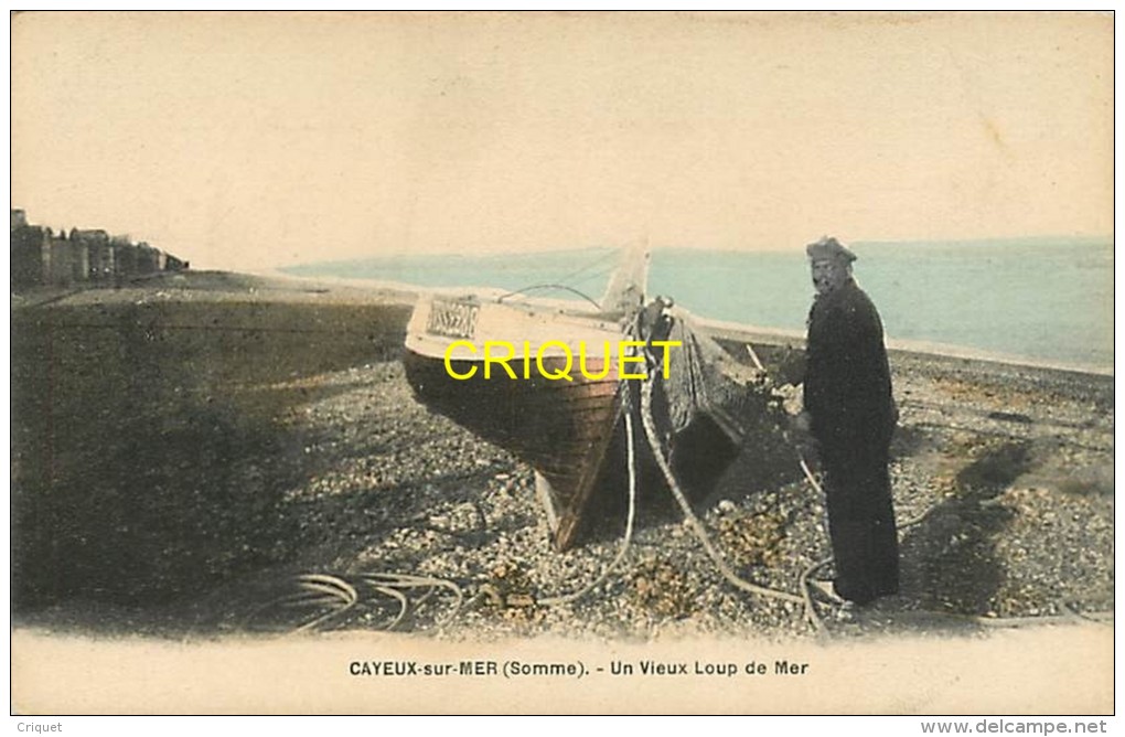 Cpa 80 Cayeux Sur Mer, Un Vieux Loup De Mer, Belle Carte Colorisée - Cayeux Sur Mer