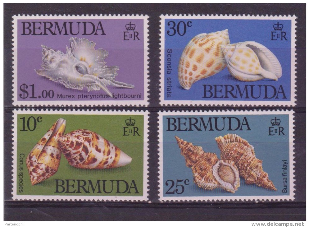 ** BERMUDA CONCHIGLIE SHEELLS 4 V.  MNH - Crustaceans