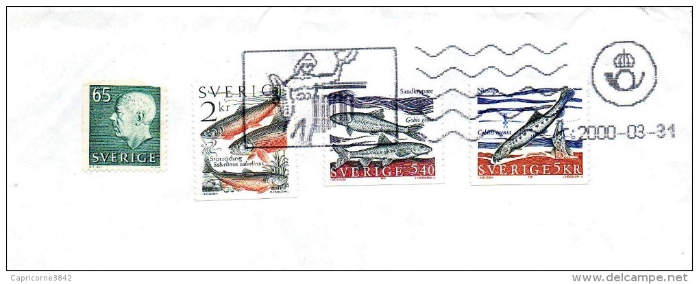 Suède - 1991 - Poissons Rares D'eau Douce (Yvert N° 1931 - 1633 - 1634) Oblitération Dieu Des Rivières? - Used Stamps