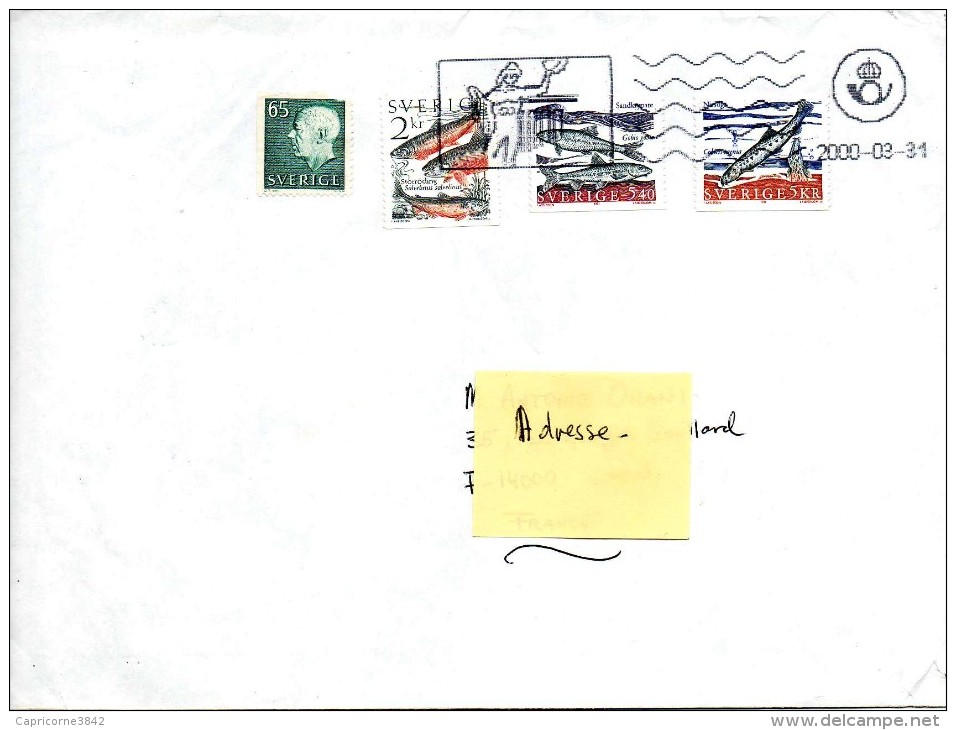 Suède - 1991 - Poissons Rares D'eau Douce (Yvert N° 1931 - 1633 - 1634) Oblitération Dieu Des Rivières? - Used Stamps