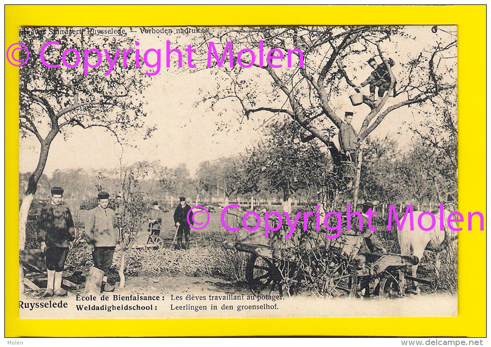 TOP ECOLE HORTICULTURE POTAGER – GROENSELHOF WELDADIGHEIDS-SCHOOL Ca1900 = RUISELEDE TOPSTAAT 1760 - Ruiselede