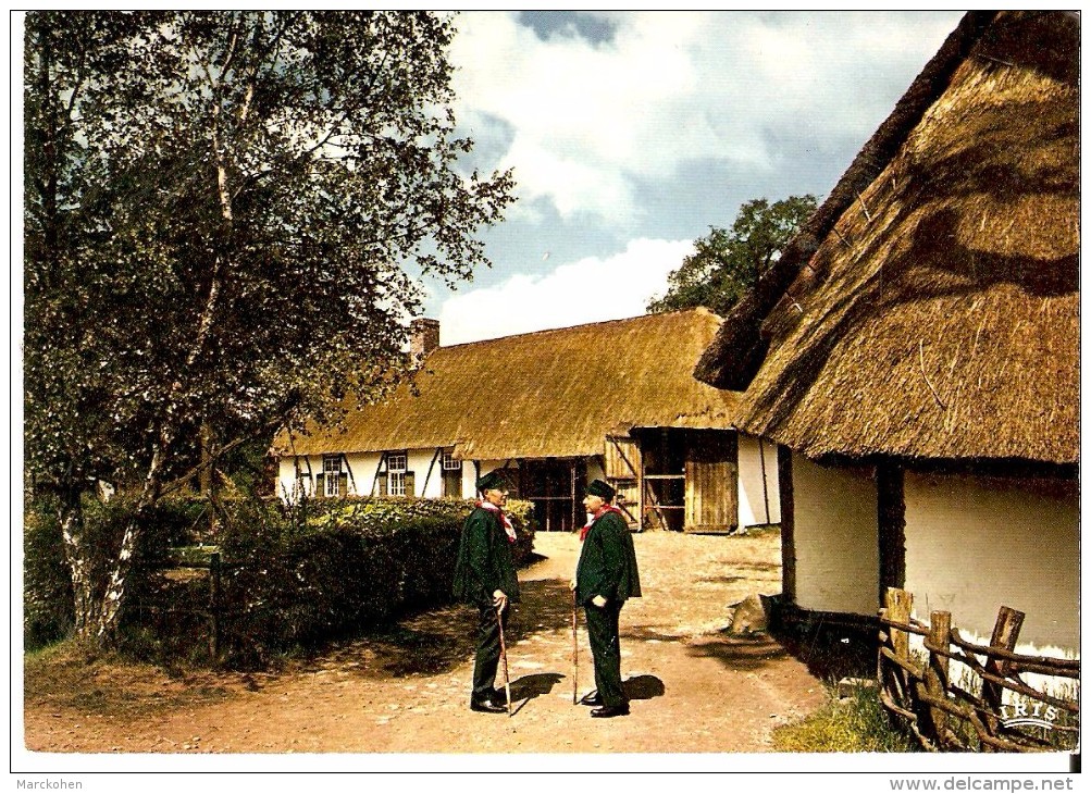 MEEUWEN-GRUITRODE (3670) : Grote Kempense Hoeve Genoemd "Kilbershoeve" - Nu In Het PROVINCIE DOMEIN BOKRIJK. CPSM. - Meeuwen-Gruitrode