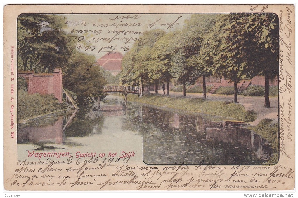 WAGENINGEN - Gezicht Op Het Spijk - 2 Scans - Daté 1903 - Wageningen