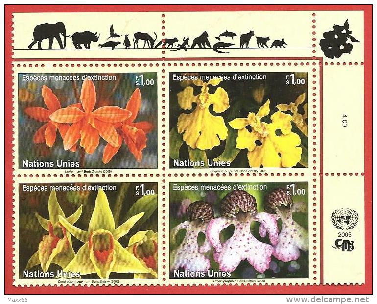 ONU - NAZIONI UNITE GINEVRA MNH - 2005 - Specie In Via Di Estinzione - 1,00 Fr. X 4 - Michel NT-GE 510-513 - Unused Stamps