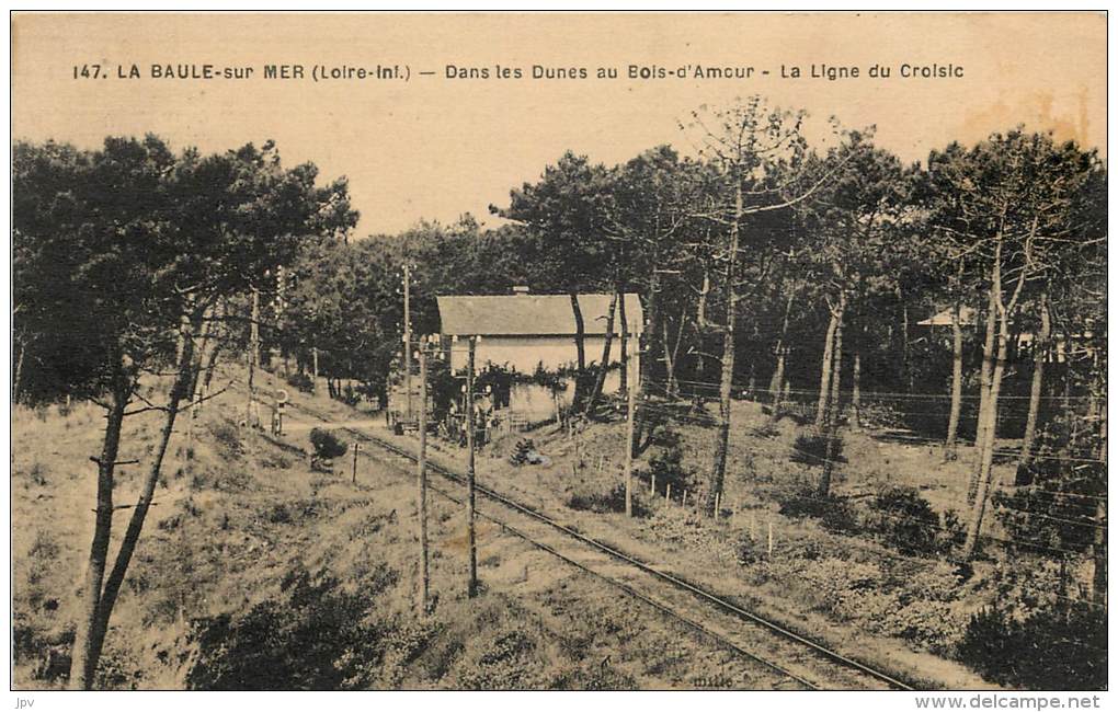 LA BAULE SUR MER . DANS LES DUNES AU BOIS D'AMOUR . LA LIGNE DU CROISIC . - Autres & Non Classés