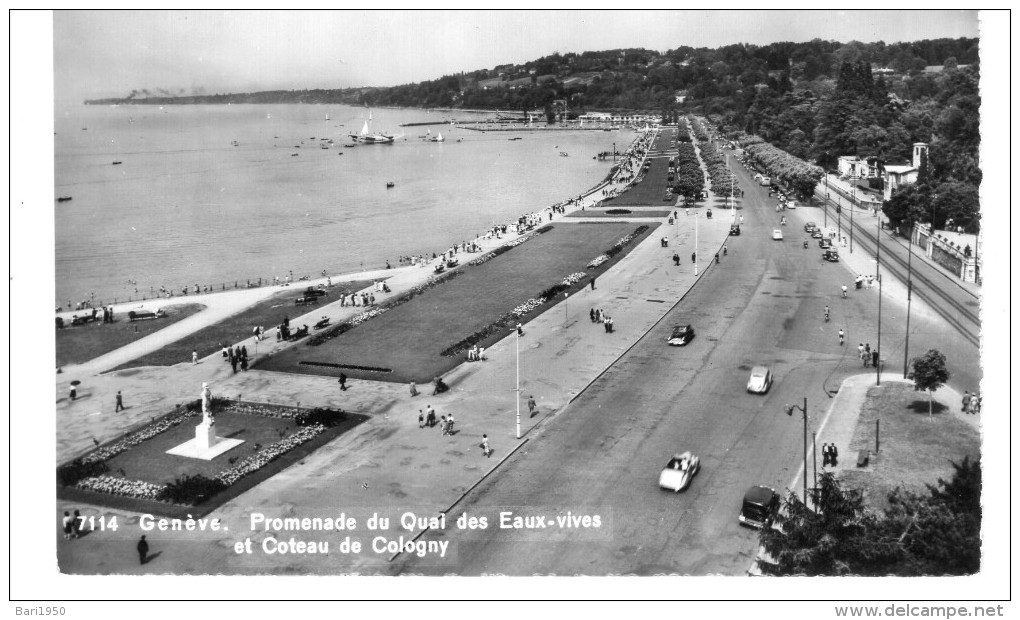 Genève. Promenade Du Quai Des Eaux-vives Et Coteau De Cologny - Cologny