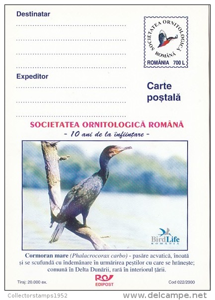 23243- GREAT CORMORANT, BIRDS, POSTCARD STATIONERY, 2000, ROMANIA - Albatrosse & Sturmvögel