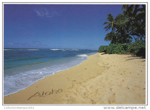 23275- HAWAII BEACH - Oahu