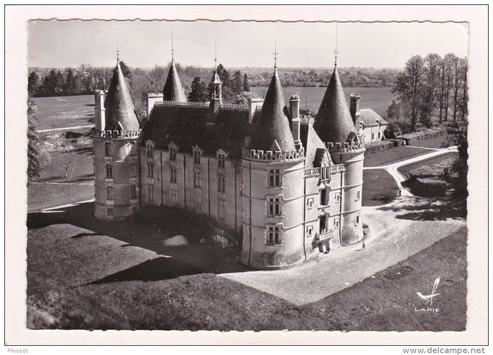 GENÇAY : "En Avion Au-dessus De ...."  Le Château De La Roche - Gencay