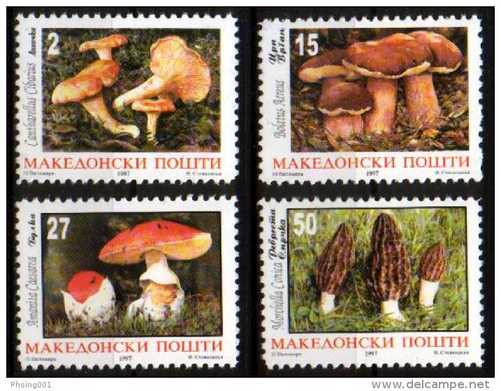 Macedonia 1997 Flora, Mushrooms, Cantharellus Cibarius, Boletus Acreus, Amanita Casarca, Morchella Conica, Set MNH - Macédoine Du Nord