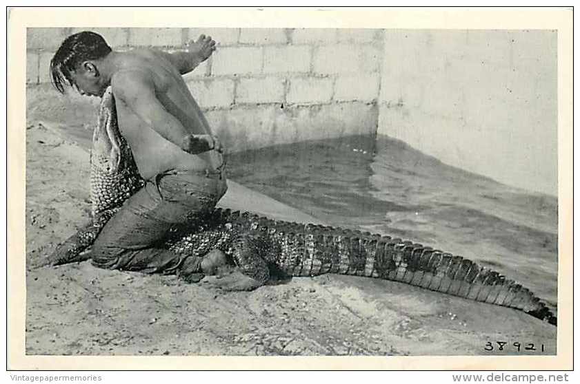 240353-Native American Seminole Indian, Alligator Wrestling In Fort Lauderdale, Florida - Native Americans