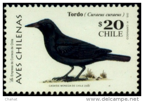 BIRDS-AUSTRAL BLACKBIRD-CHILE-1998-MNH-B4-405 - Pics & Grimpeurs