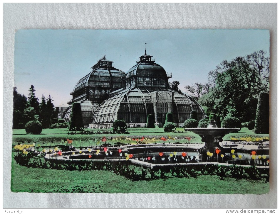 Austria Wien Palmenhaus Schönbrunn  Stamps 1963   A 20 - Altri & Non Classificati