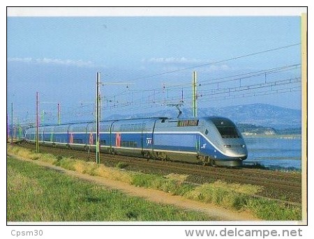 CP Trains - 11 Aude - Prestige Du TGV N° 63 - Perpignan/Paris Longe L´étang De Sigean - Sigean