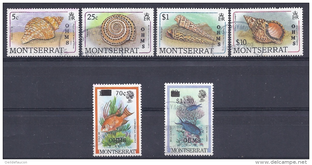 MONTSERRAT - Yvert - Timbres De Service 70-74-79-84-85-87 - Cote 22,30 € - Coquillages Et Poissons. - Montserrat