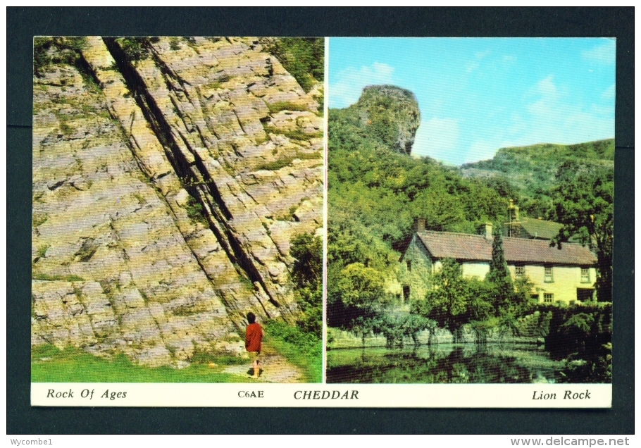 ENGLAND  -  Cheddar  Dual View  Unused Postcard As Scan - Cheddar