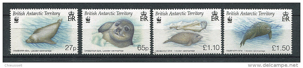 (cl. 8 - P22) Antarctique Britannique ** N° 492 à 495 (ref. Michel Au Dos) - Phoque Crabier - - Neufs