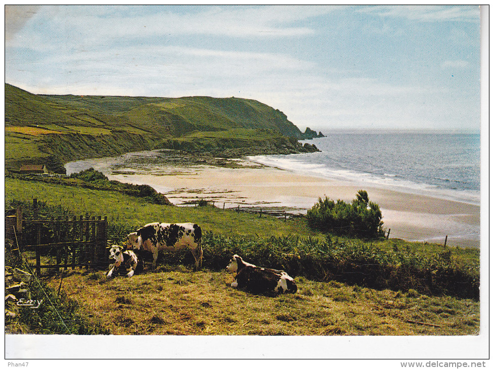 BEAUMONT HAGUE (50-Manche), La Hague, La Baie D´Ecalgrain, Vaches Normandes,  Ed. Le Goubey 1970 - Beaumont