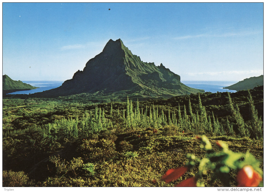 Moorea - Vue Du Belvédère Sur Le Mont Rotui Et Les Baies D'Opunohu Et De Paopao - Polynésie Française