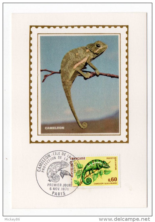 1971--Carte Maximum-Soie-Le Caméléon De La Réunion---cachet PARIS--75 - 1970-1979