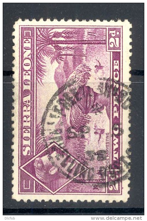 SIERRA LEONE, Postmark `TPO FREETOWN-BO` - Sierra Leone (...-1960)