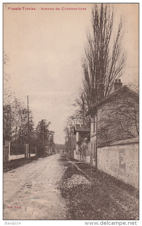 94 -Plessis Trevise - Avenue De Chennevieres - Scan Recto-verso - Le Plessis Trevise