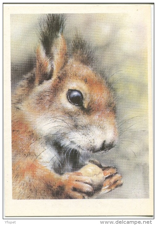 Red Squirrel - (by Illustrator A. Isakov) - Autres & Non Classés
