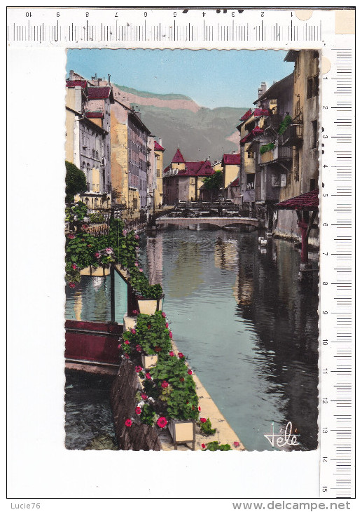 ANNECY   -   Canal Du  Thiou  -   Vieux  Quartiers - Annecy