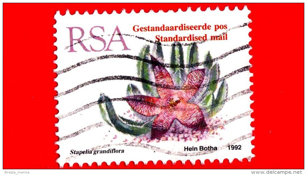 RSA - SUD AFRICA - 1992 (1993-04-01) - Cactus - Stapelia Grandiflora - Gebruikt