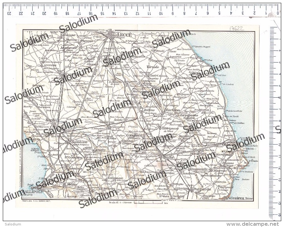 PUBLIA GALLIPOLI LECCE VERNOLE NARDO GALATONE GALATINA MARTANO POGGIARDO - Vecchia Mappa Cartina Originale D´epoca - Altri & Non Classificati