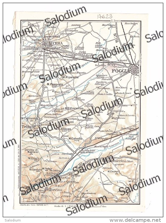 LUCERA FOGGIA BOVINO  - Vecchia Mappa Cartina Originale D´epoca - Altri & Non Classificati